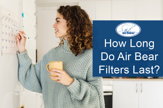 How Long Do Air Bear Filters Last?