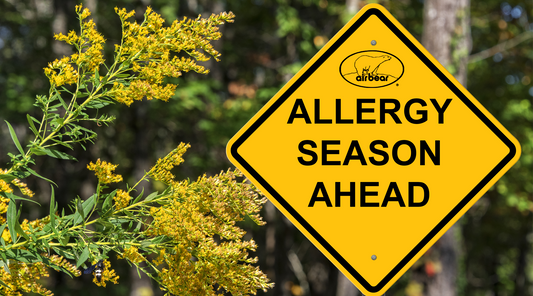 Spring Allergies 2024:  Can Air Filters Help?