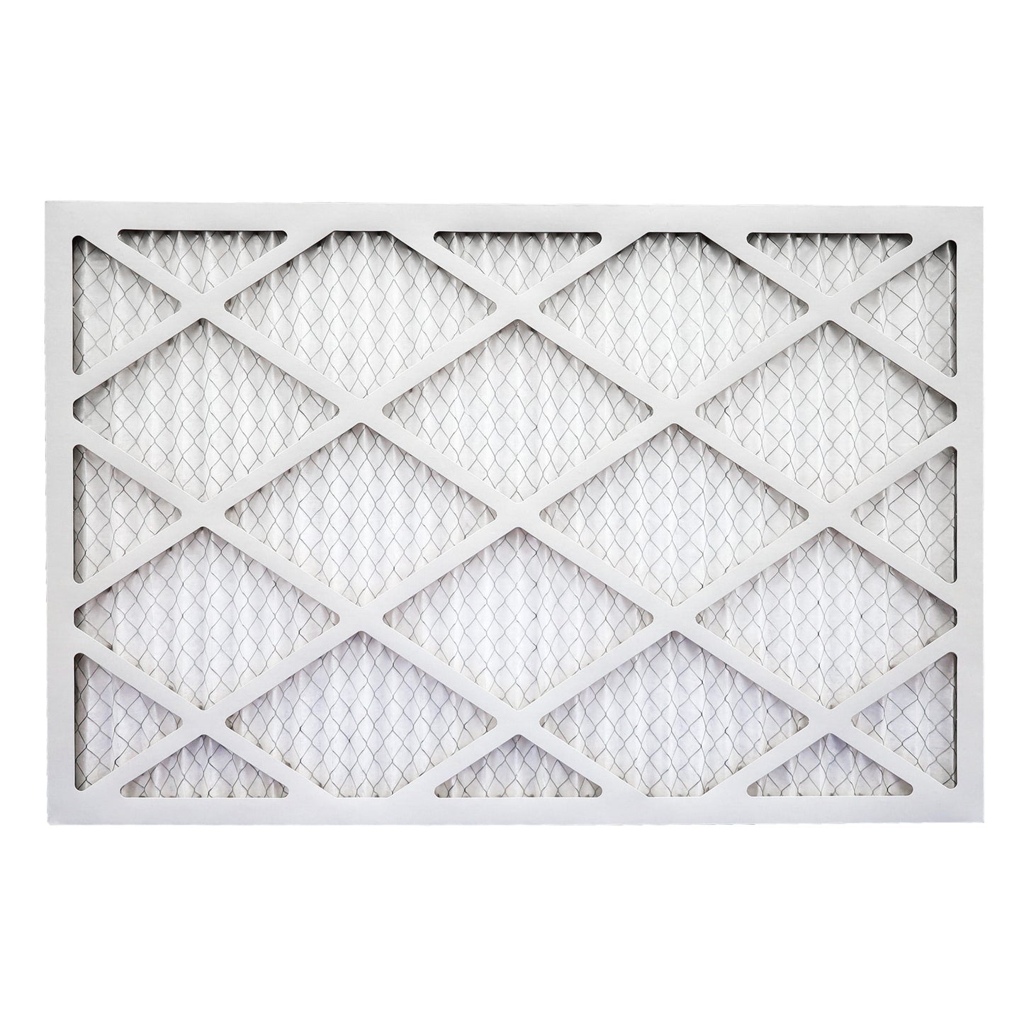 Air Bear 20x30x1 Pleated Air Filter