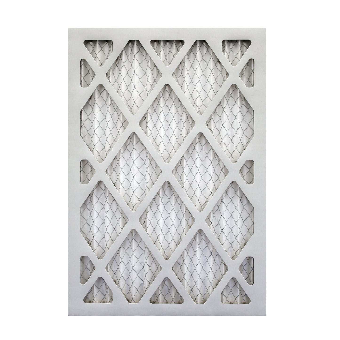 Air Bear 14x20x1 Pleated Air Filter