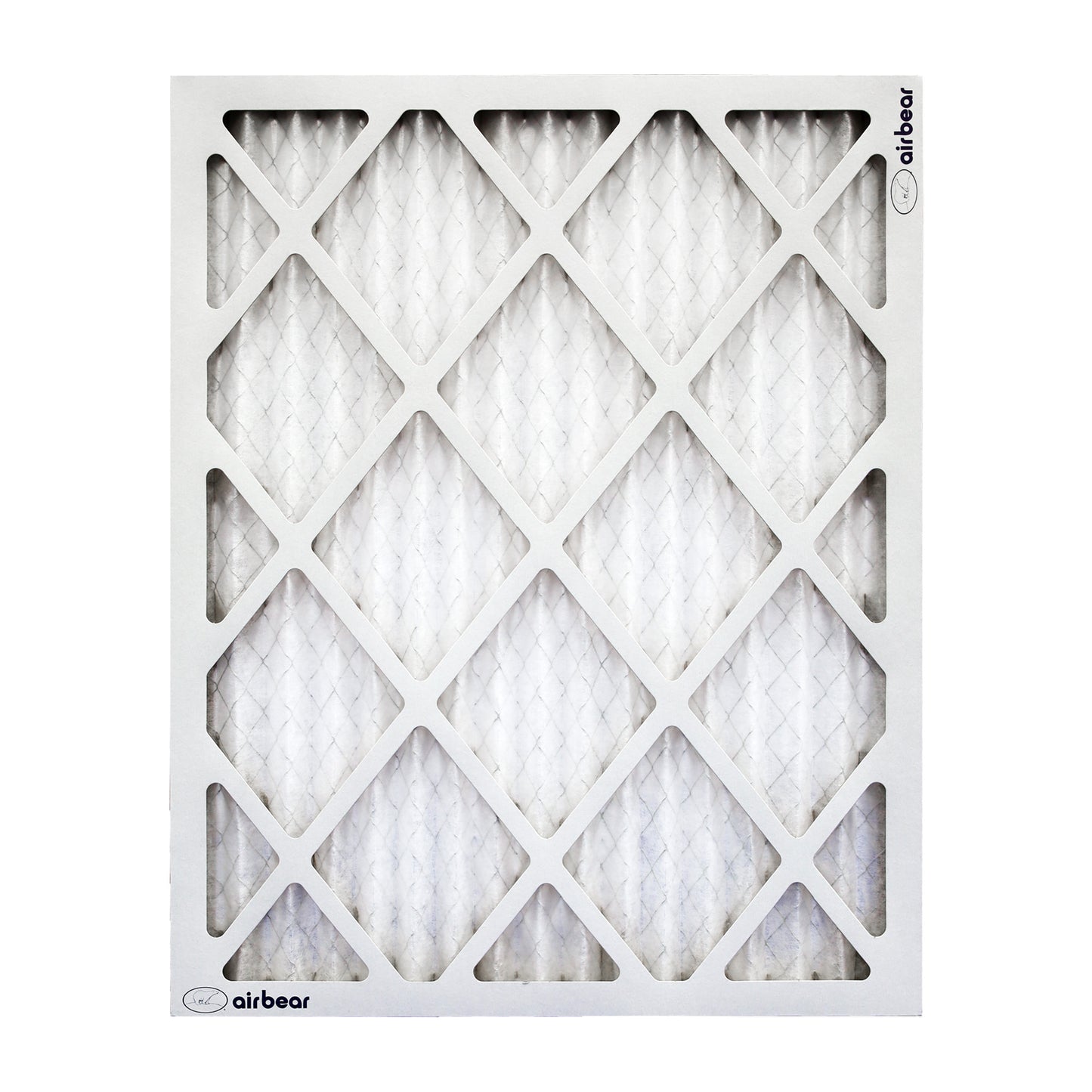 Air Bear 16x20x1 Pleated Air Filter