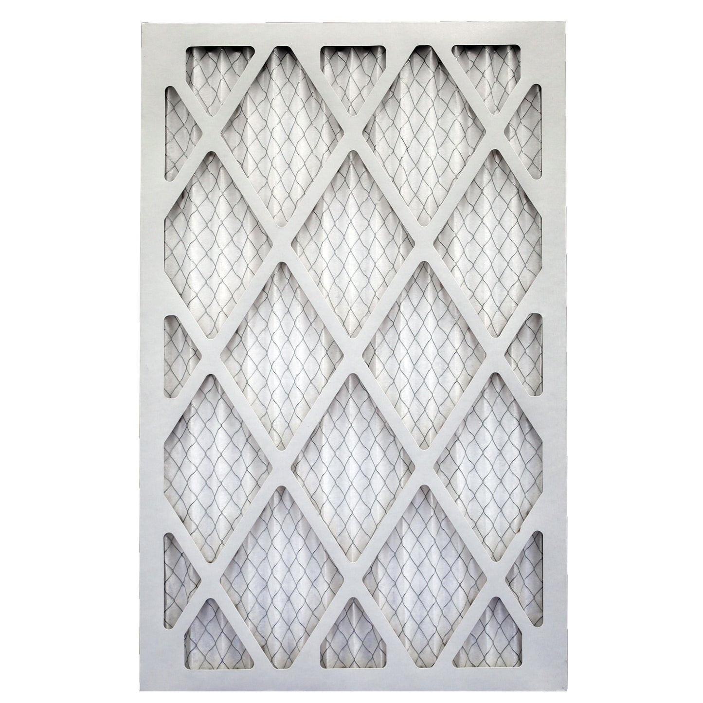 Air Bear 16x25x1 Pleated Air Filter