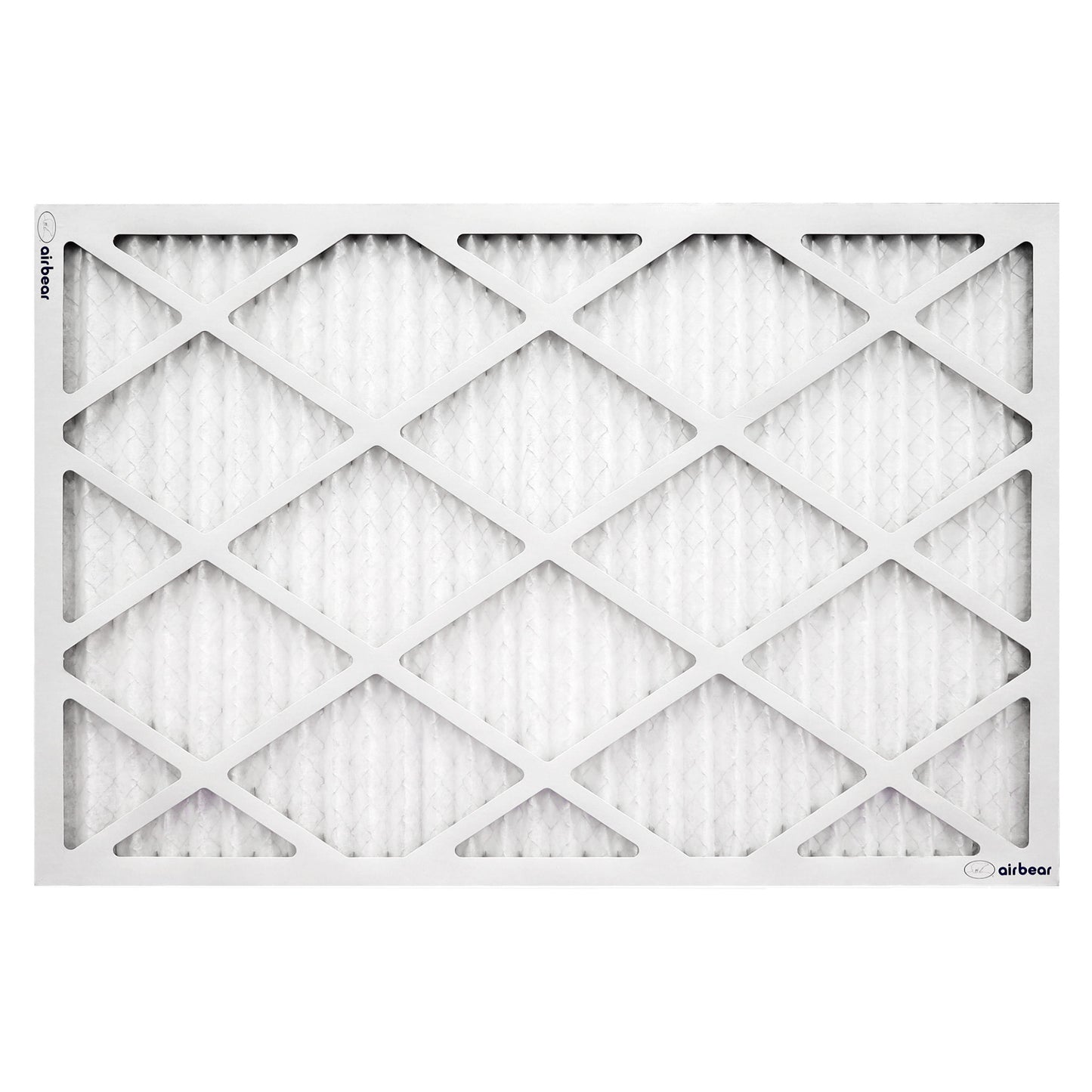 Air Bear 20x30x1 Pleated Air Filter