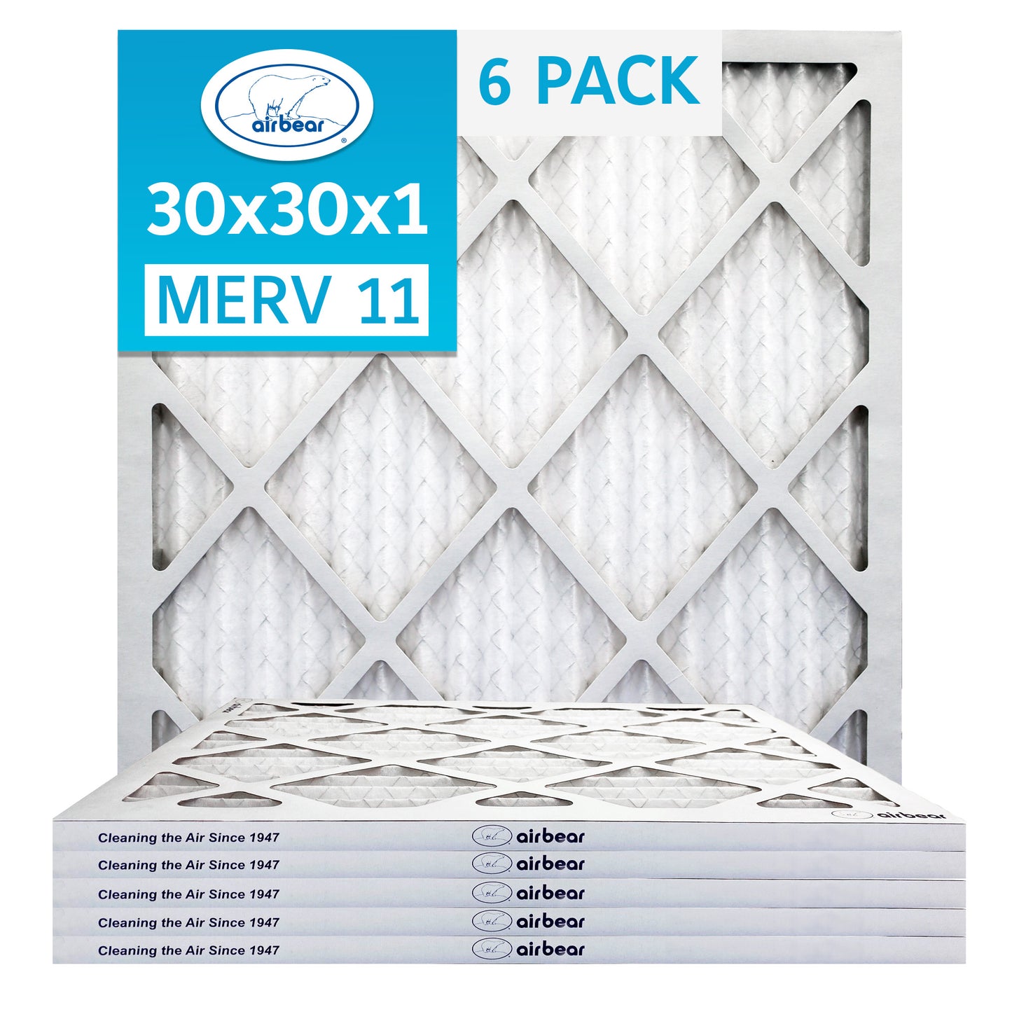 Air Bear 30x30x1 Pleated Air Filter