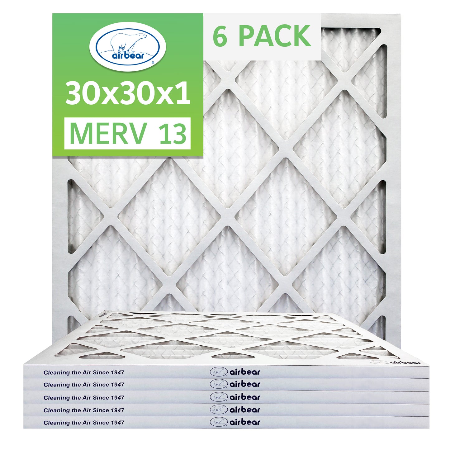 Air Bear 30x30x1 Pleated Air Filter