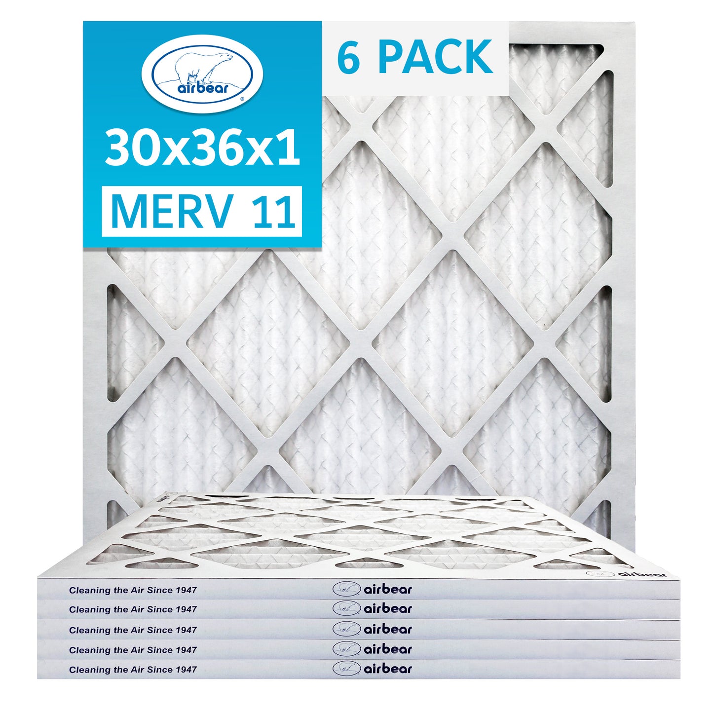 Air Bear 30x36x1 Pleated Air Filter