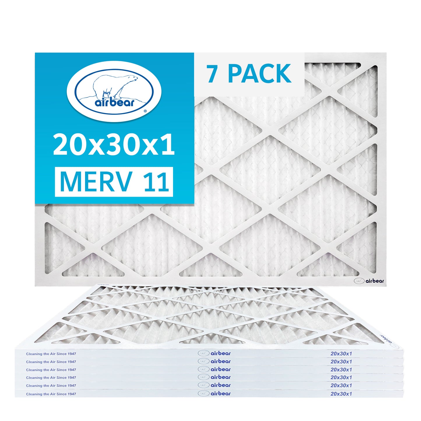 Air Bear 20x30x1 Pleated Air Filter