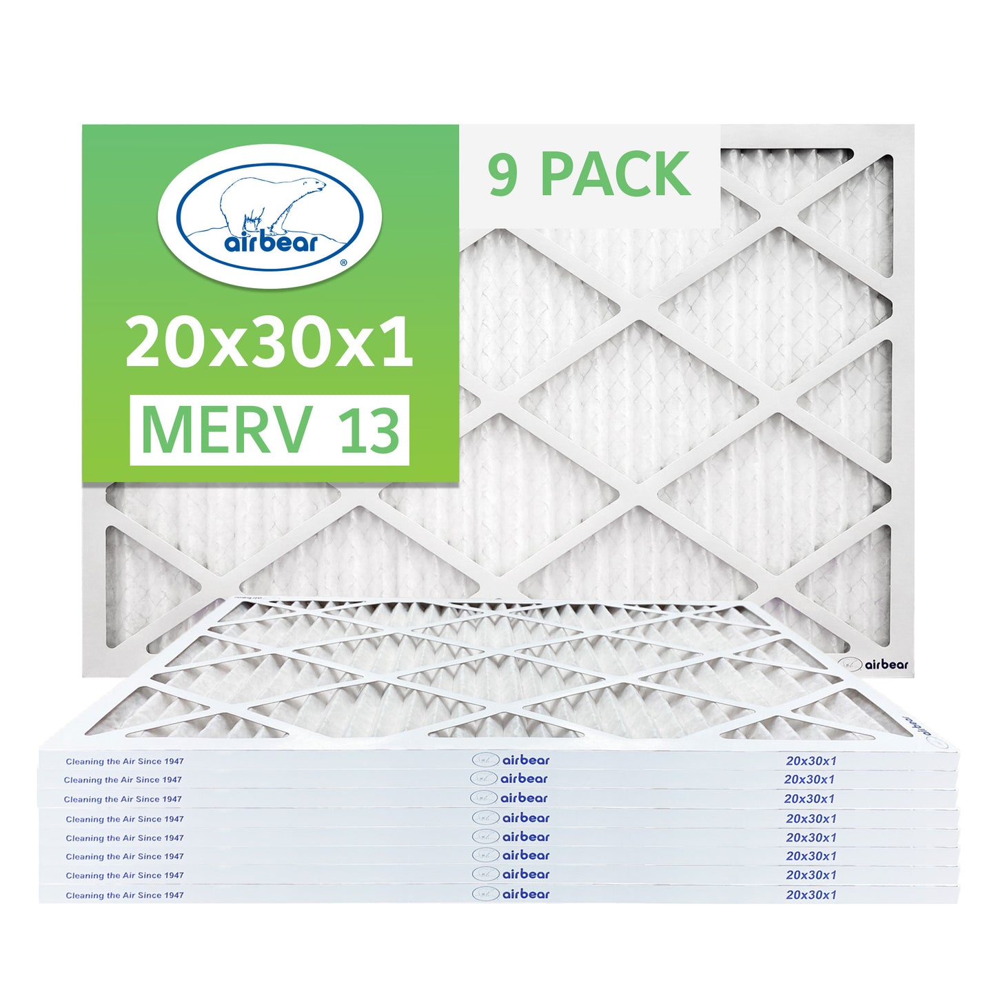 Air Bear 20x30x1 Pleated Air Filter