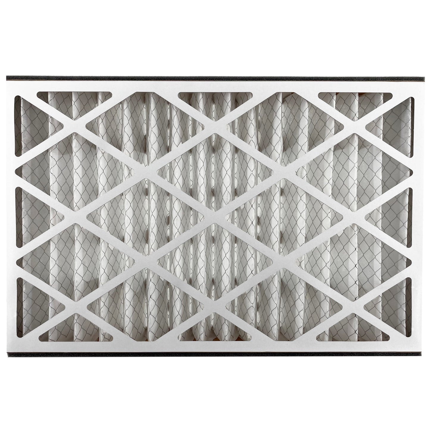 Air Bear Cub Filter Back