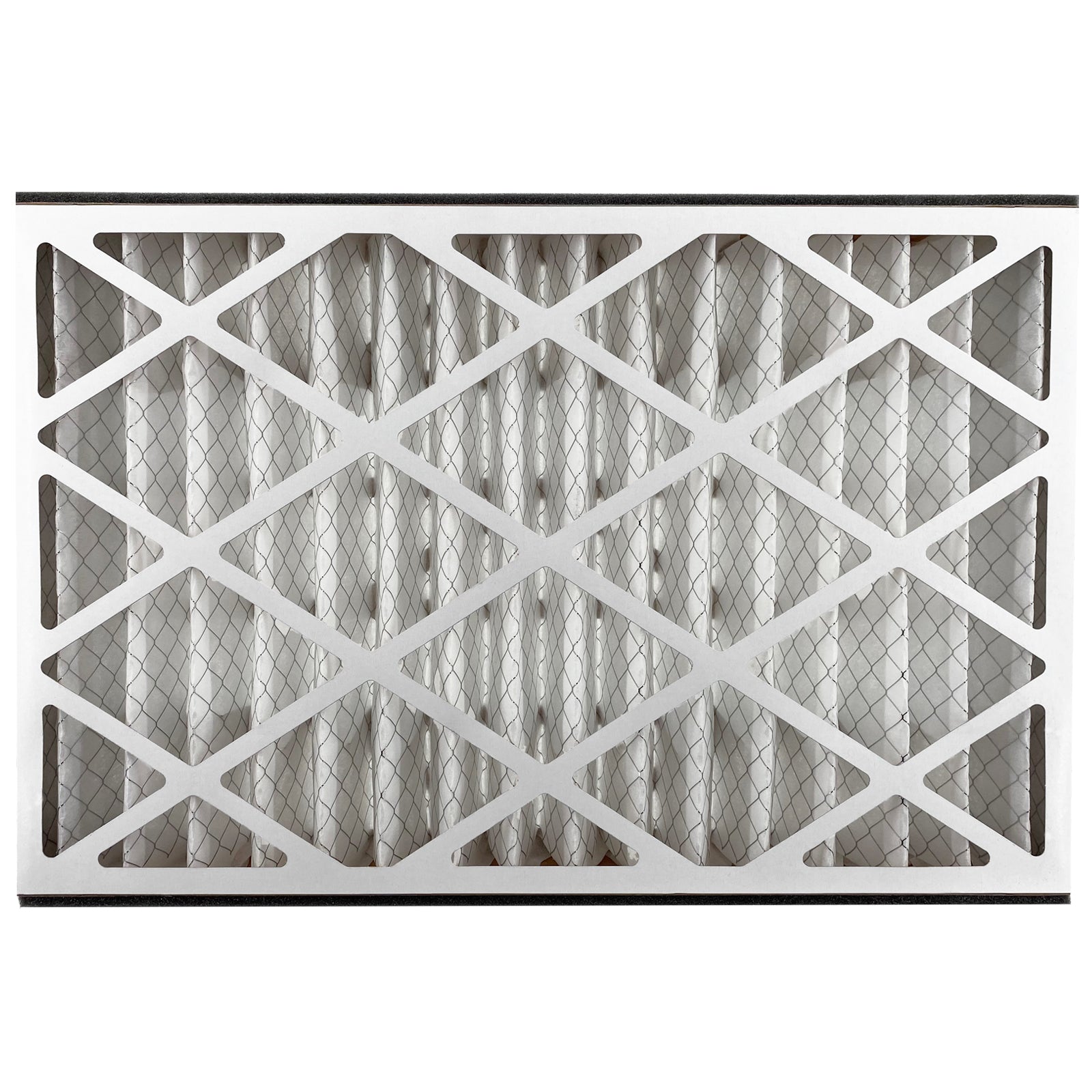 Air Bear Cub Filter Back