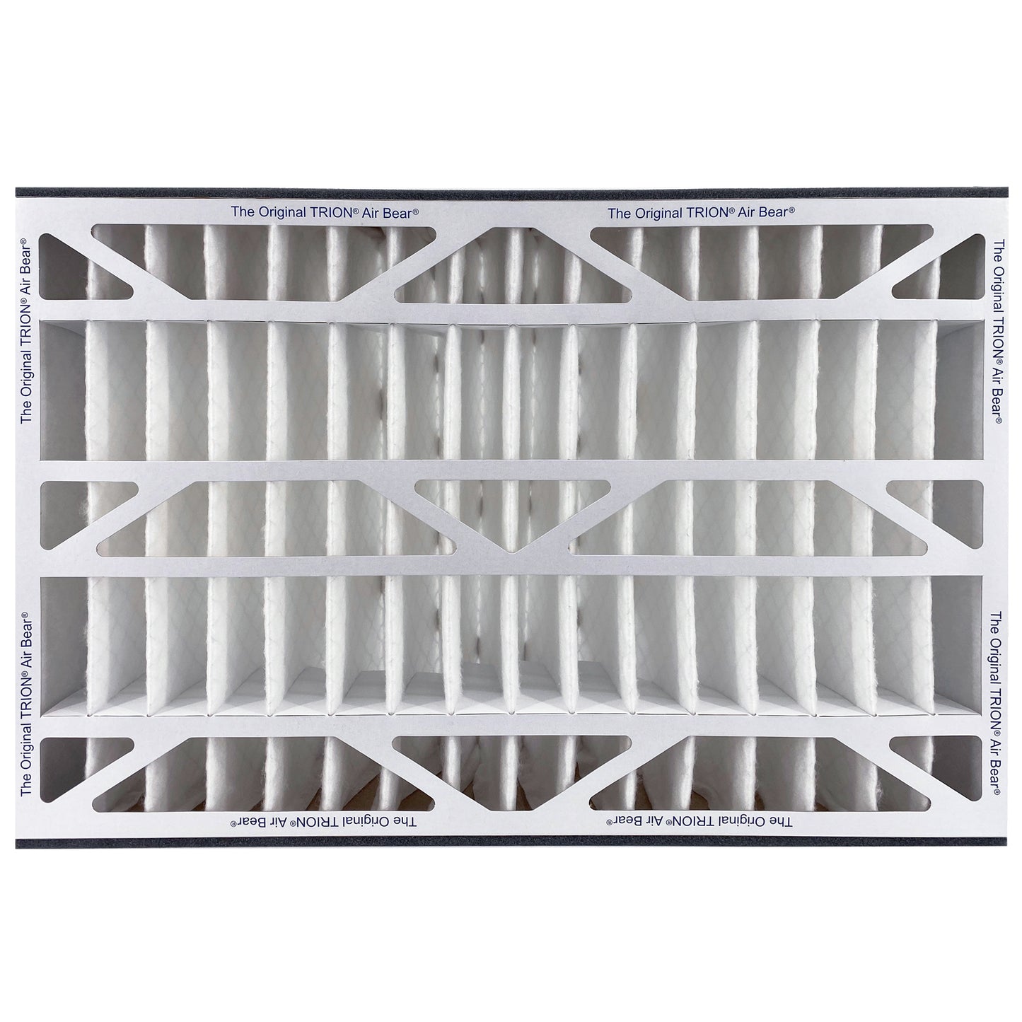 Air Bear Cub Filter Front