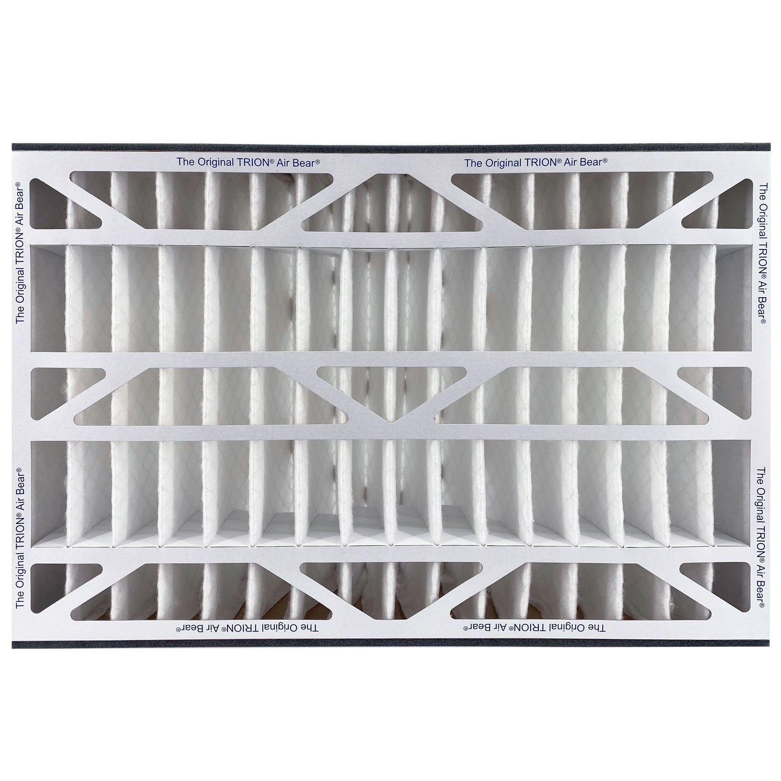 Air Bear Cub Filter Front