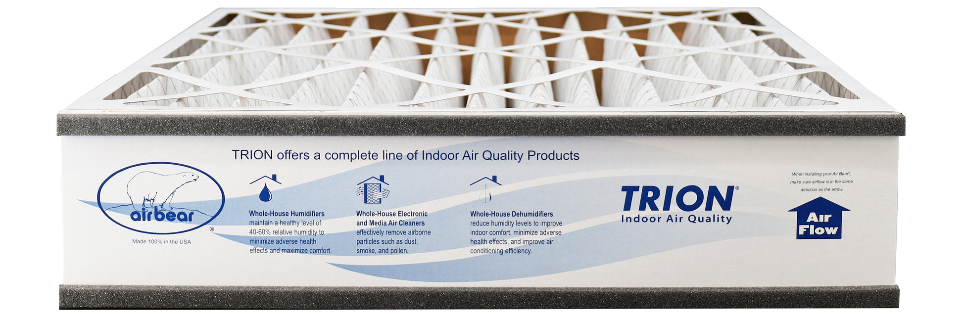 20x20x5 TRION Air Bear Filter