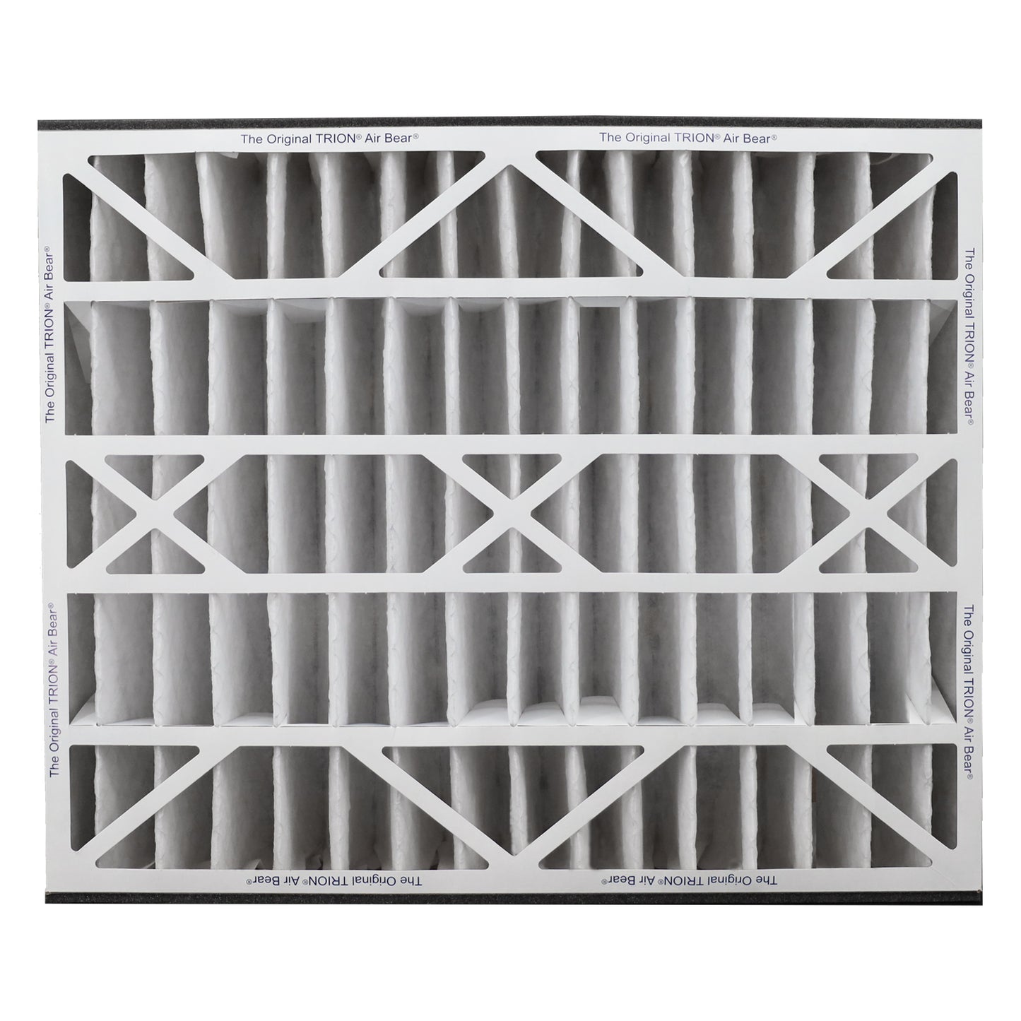 20x25x5 Air Filter Front TRION Air Bear