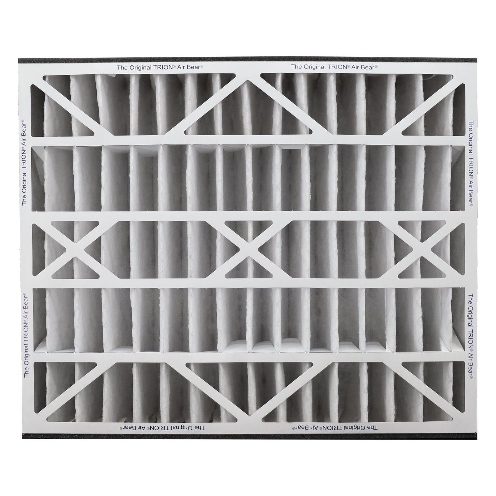 20x25x5 Air Filter Front TRION Air Bear