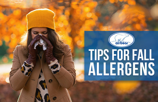 air bear filters for fall allergies