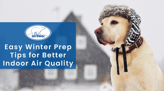 Winter Preparations for Better Indoor Air Quality