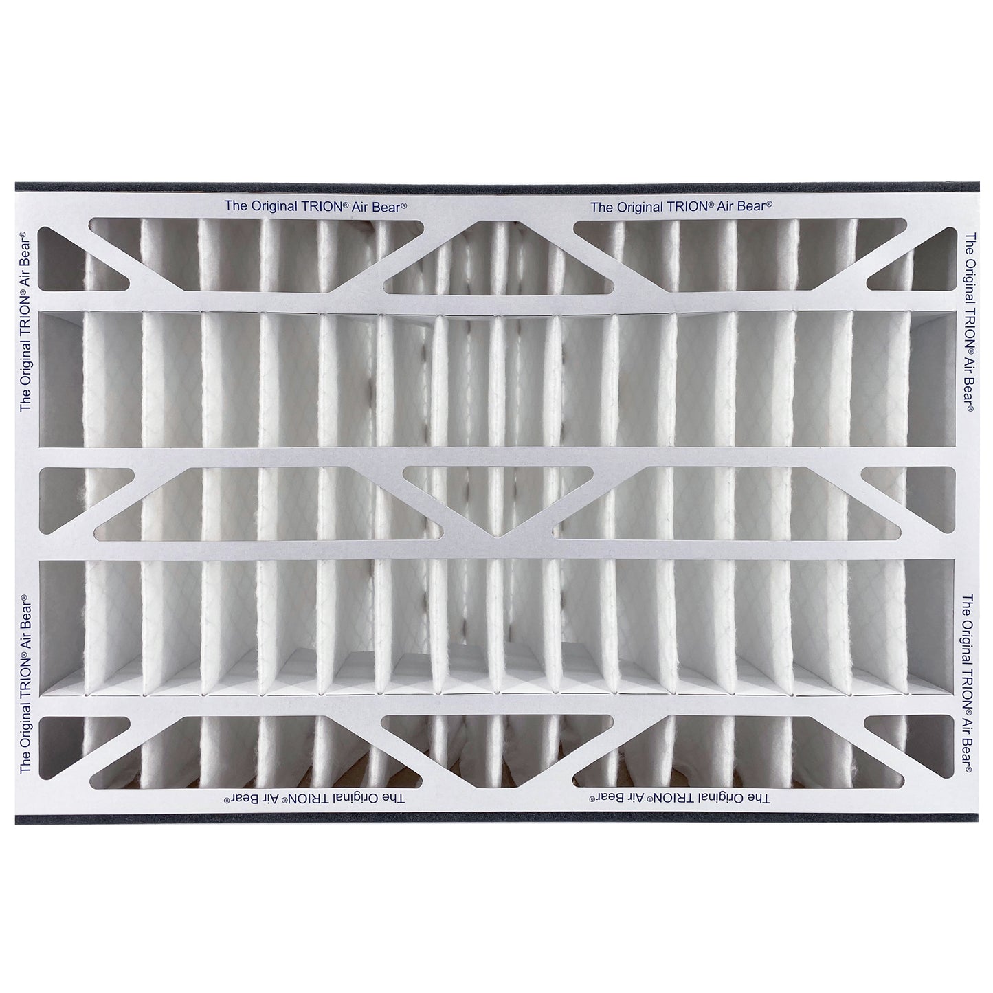 Air Bear Cub 16x25x3 Pleated Air Filter